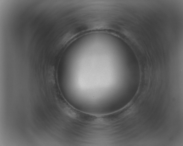 X0000062911265200601131417