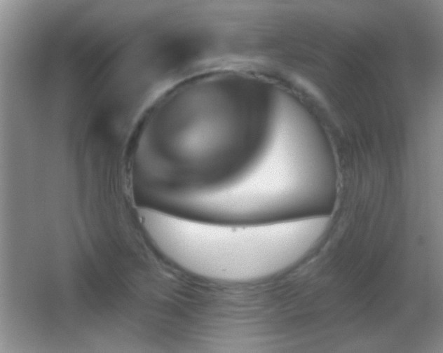 X0000062911267200601131417