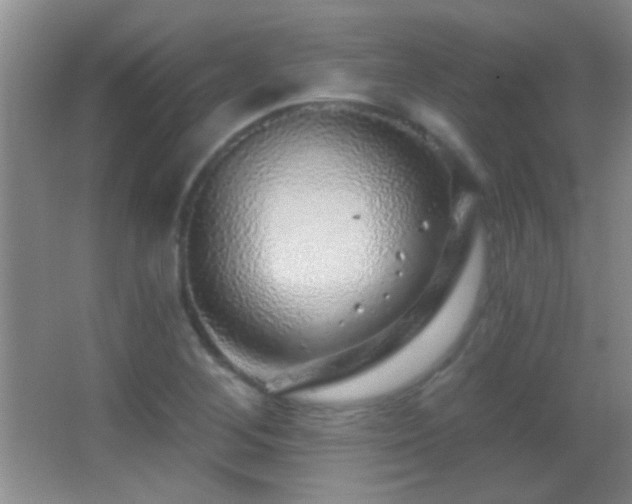 X0000062911268200601131417