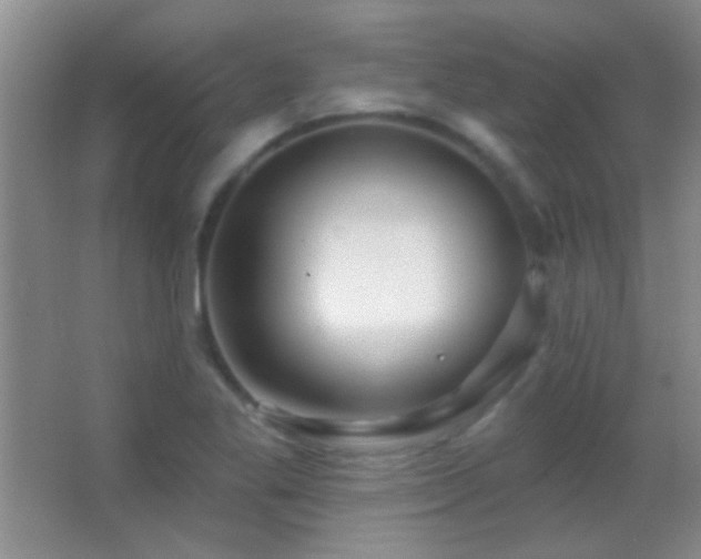 X0000062911269200601131417