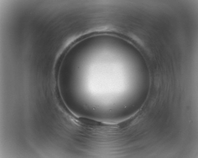 X0000062911270200601131417