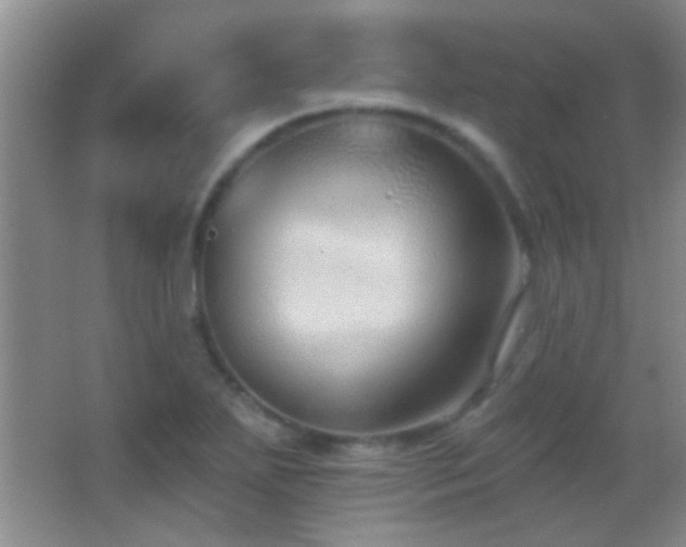 X0000062911271200601131417