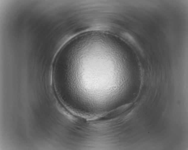 X0000062911276200601131417