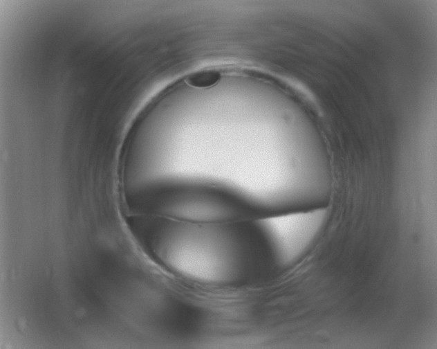 X0000062911279200601131417