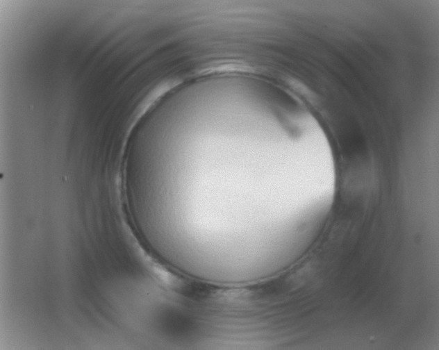 X0000062911282200601131416
