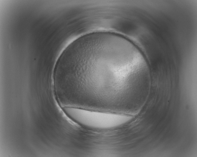 X0000062911287200601131416