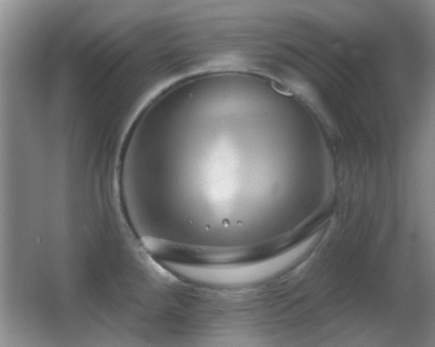 X0000062911288200601131416