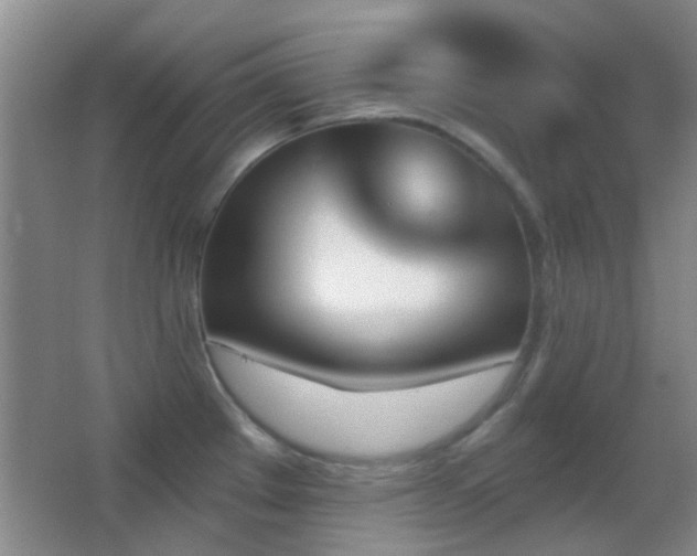 X0000062911289200601131416