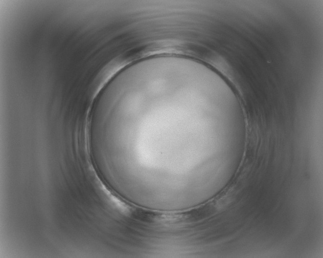 X0000062911290200601131416