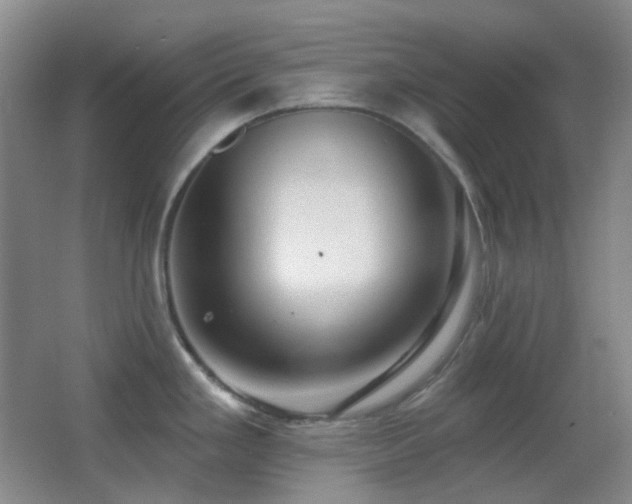 X0000062911293200601131416