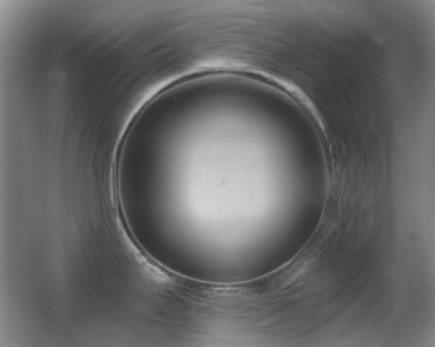 X0000062911295200601131416