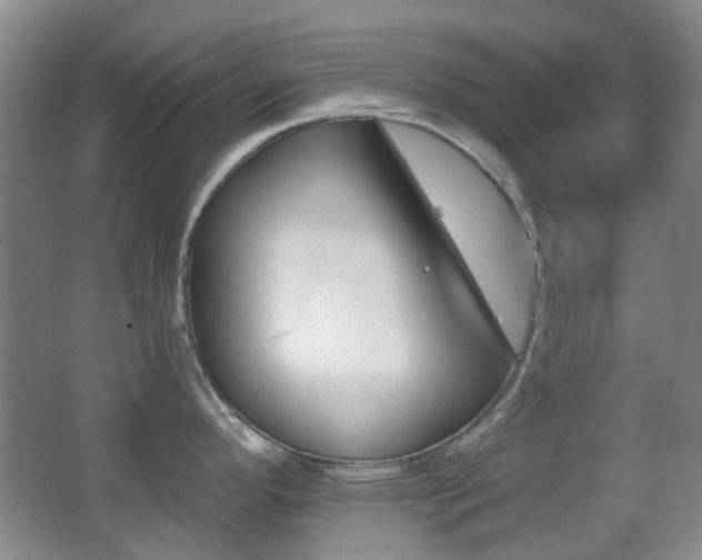 X0000062911296200601131416