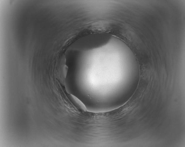 X0000062911297200601131415