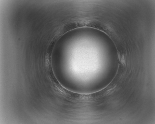 X0000062911299200601131415