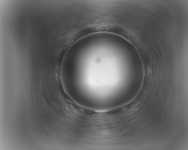 X0000062911300200601131415