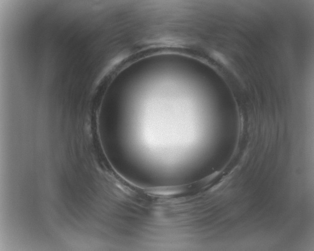 X0000062911307200601131416