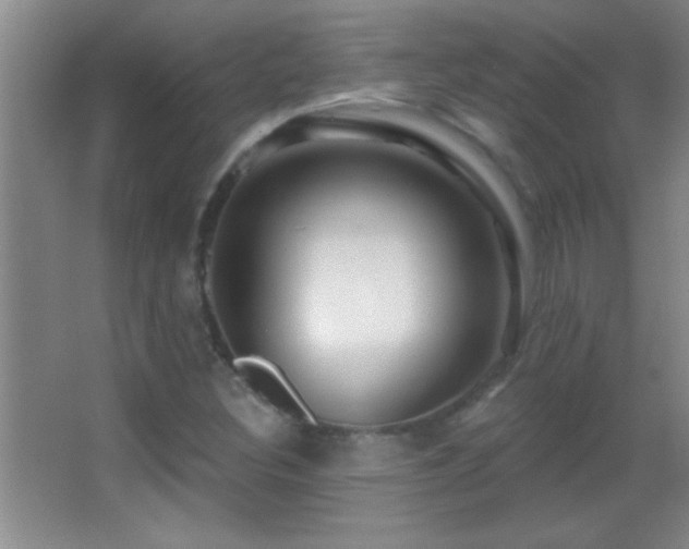X0000062911308200601131416