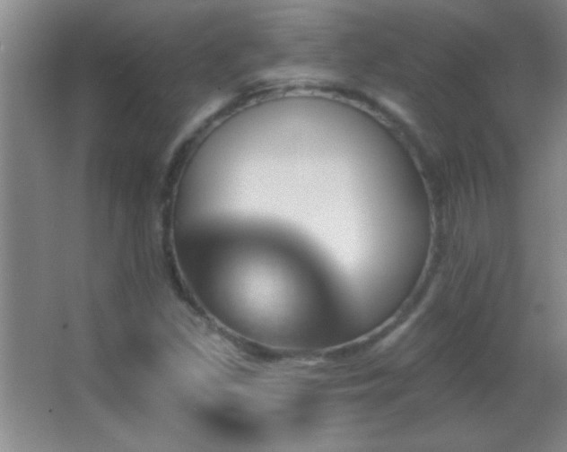 X0000062911309200601131416