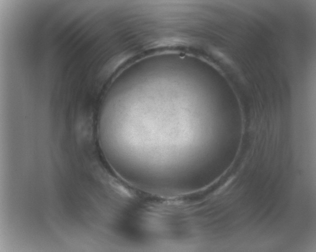 X0000062911313200601131416