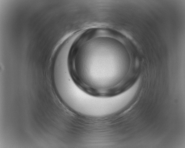 X0000062911317200601131416