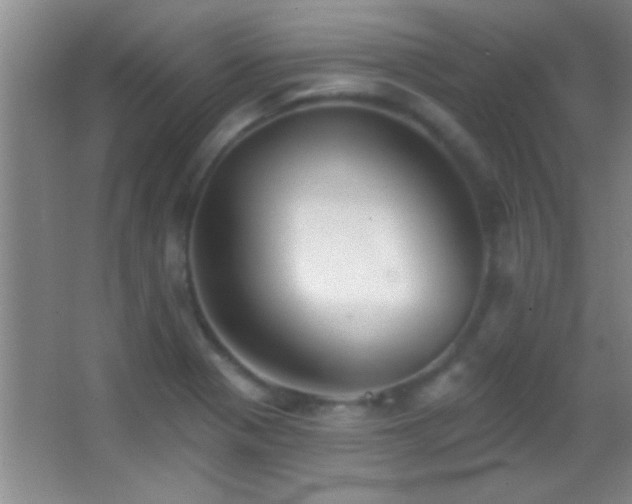 X0000062911321200601131416