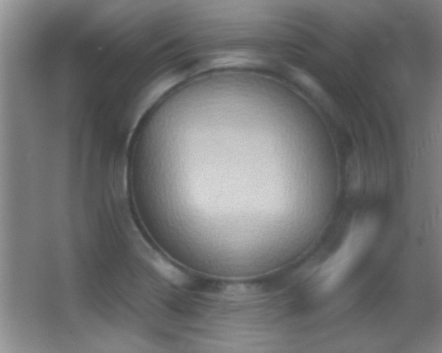 X0000062911322200601131416