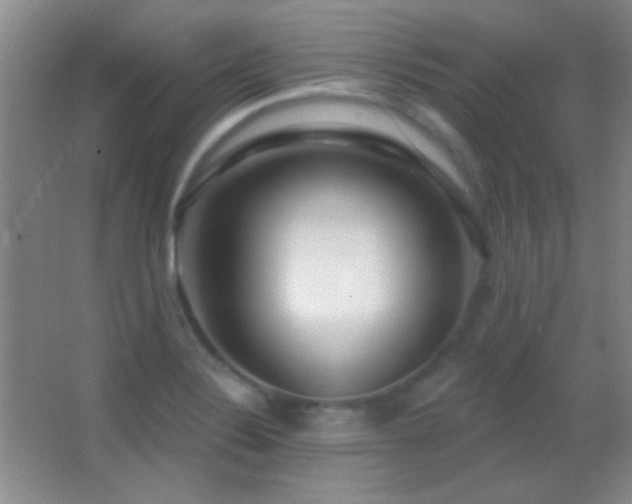 X0000062911324200601131416