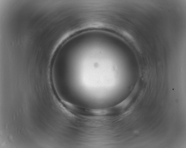 X0000062911326200601131416