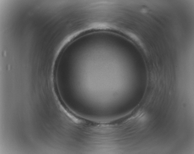 X0000062911327200601131416