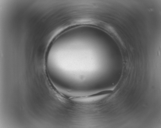 X0000062911328200601131416