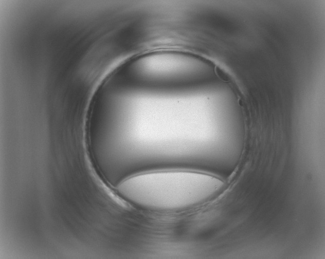 X0000062911333200601131416