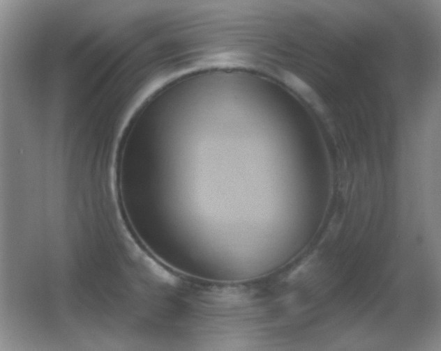 X0000062911334200601131416