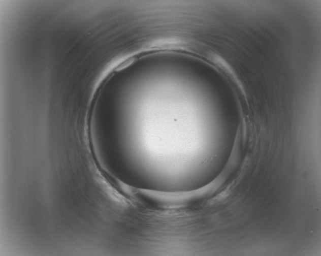 X0000062911336200601131416