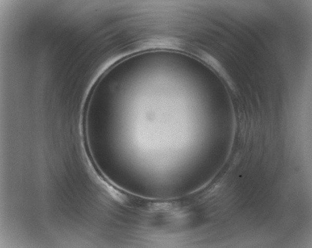 X0000062911339200601131416