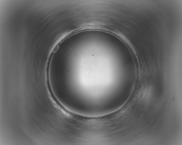 X0000062911341200601131416