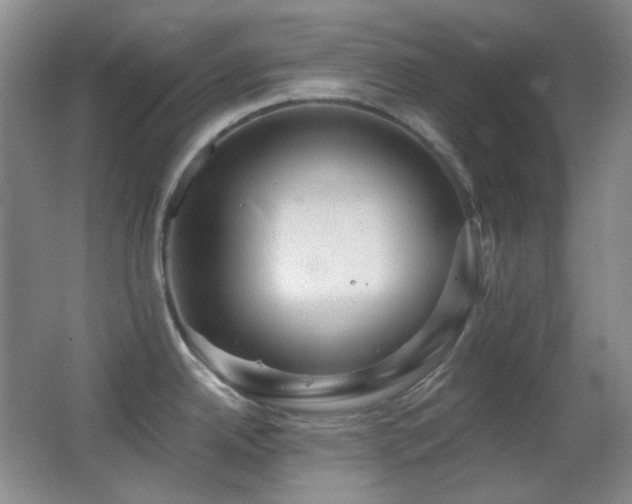 X0000062911342200601131416