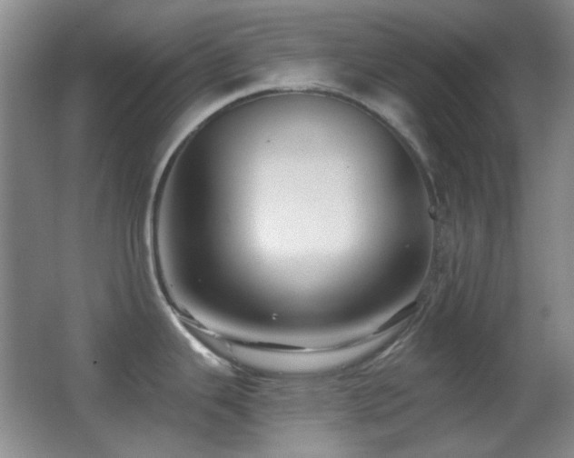 X0000062911343200601131416
