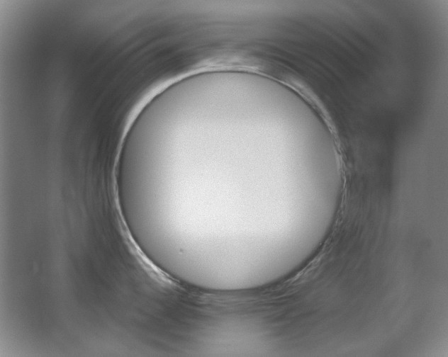 X0000062911344200601131416
