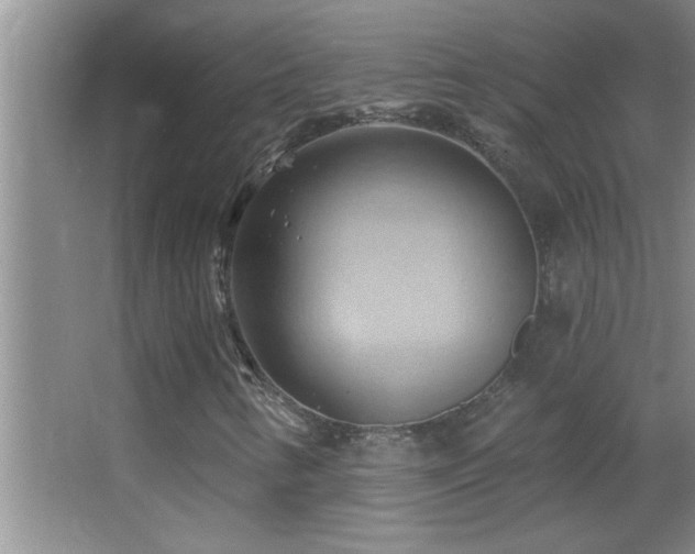X0000062911346200601131415