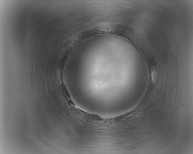 X0000062911347200601131415