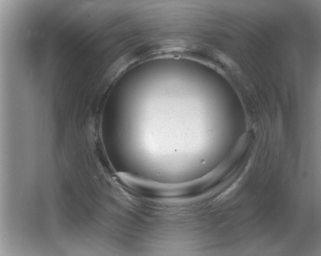 X0000062911353200601131415