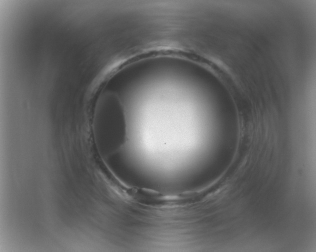 X0000062911359200601131415