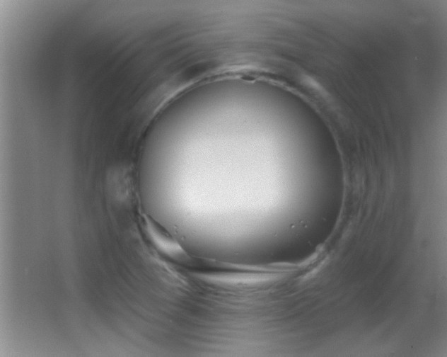 X0000062911361200601131415