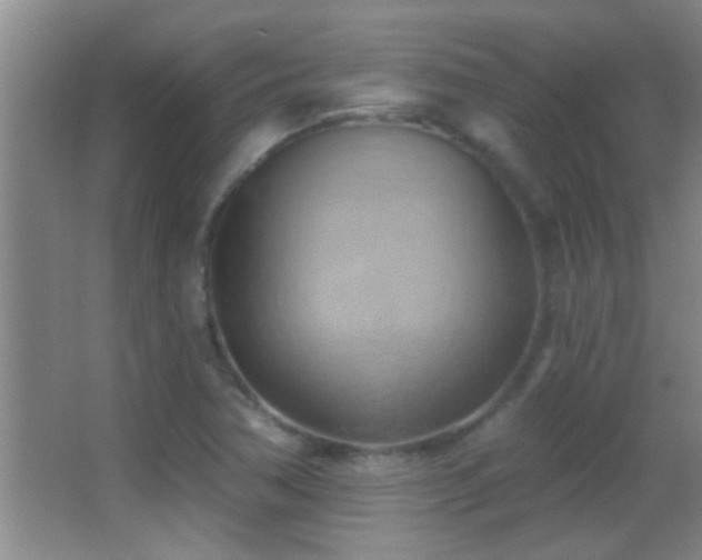 X0000062911362200601131415