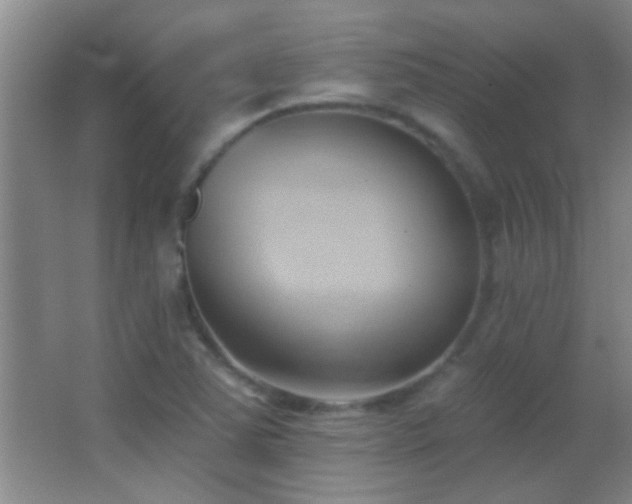 X0000062911363200601131415