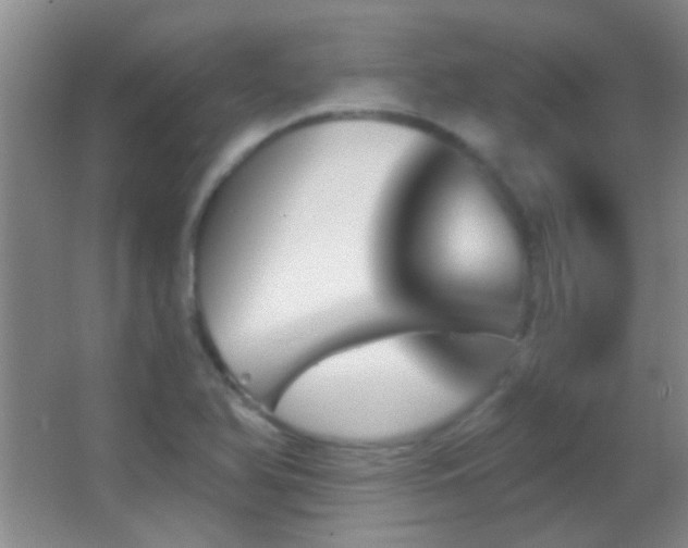 X0000062911366200601131415