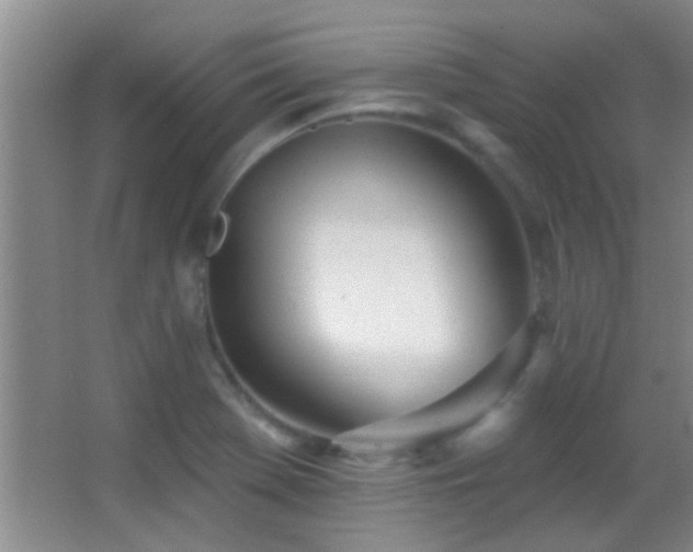 X0000062911369200601131415