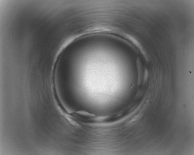 X0000062911373200601131415