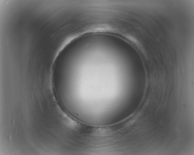 X0000062911374200601131415