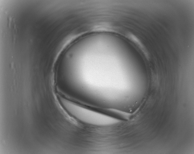 X0000062911376200601131415